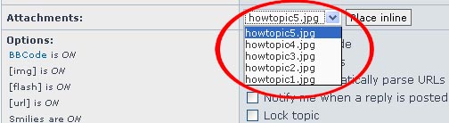 howtopic7.jpg