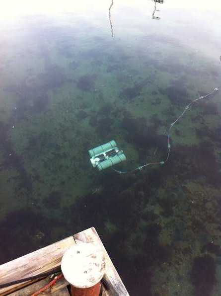 rov3.jpg