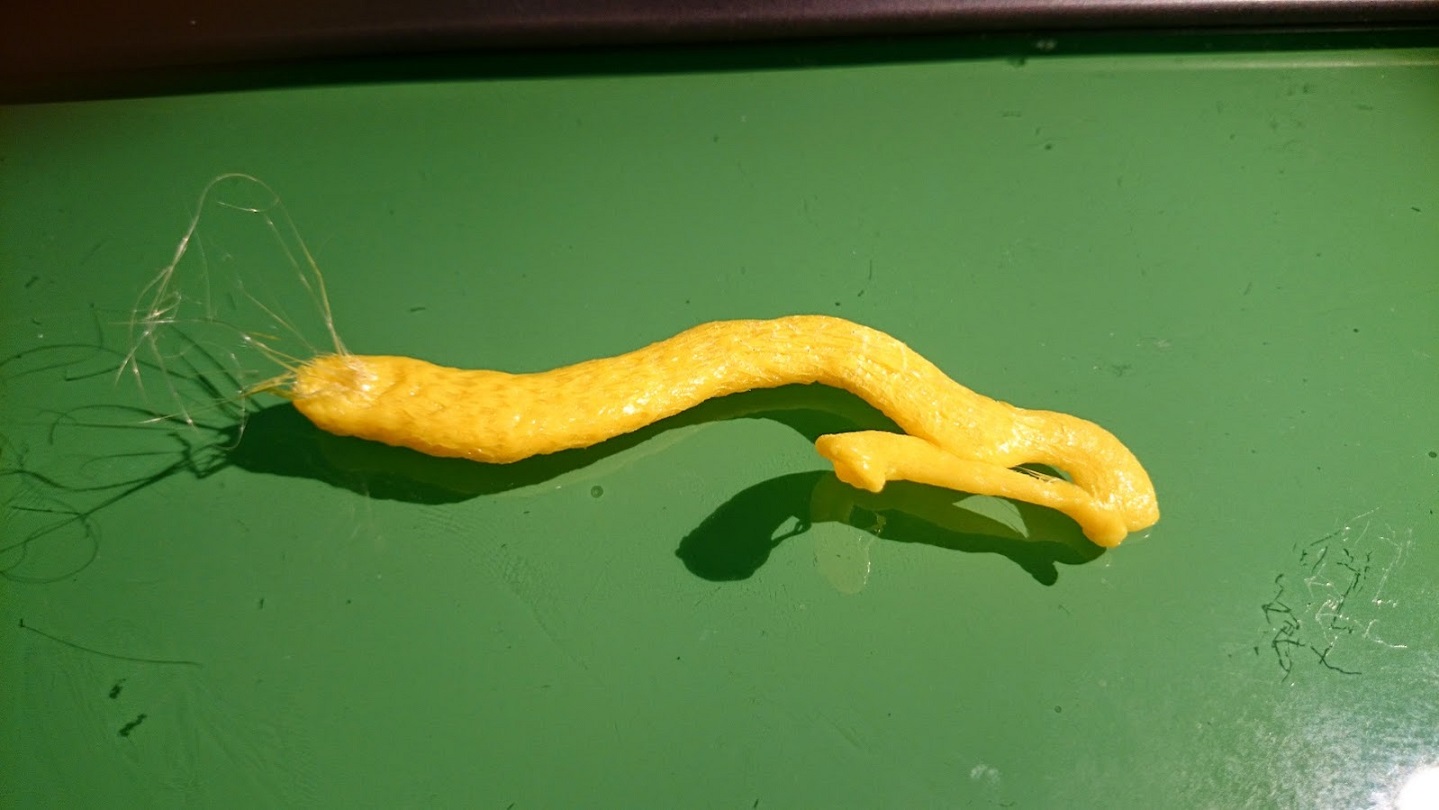 DSC_0421.JPG